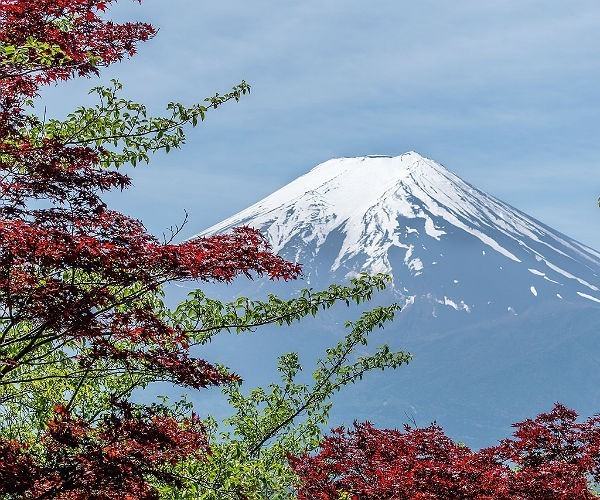 Nakasendo Trail and What to Expect at a Japanese Ryokan 7 mount fuji framed by red and green leaves
