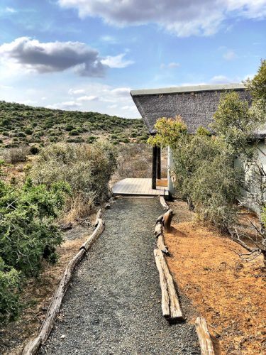 luxurysafari