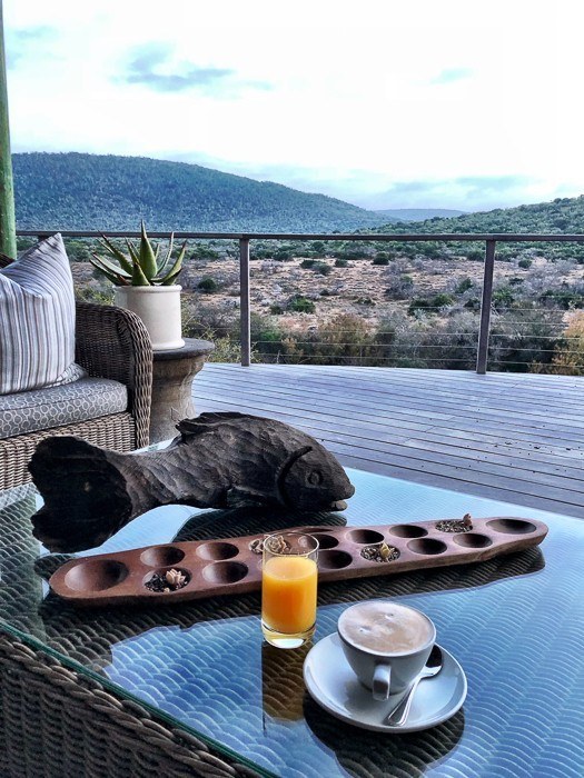coffee and orange juice on a table looking out over the african savannah