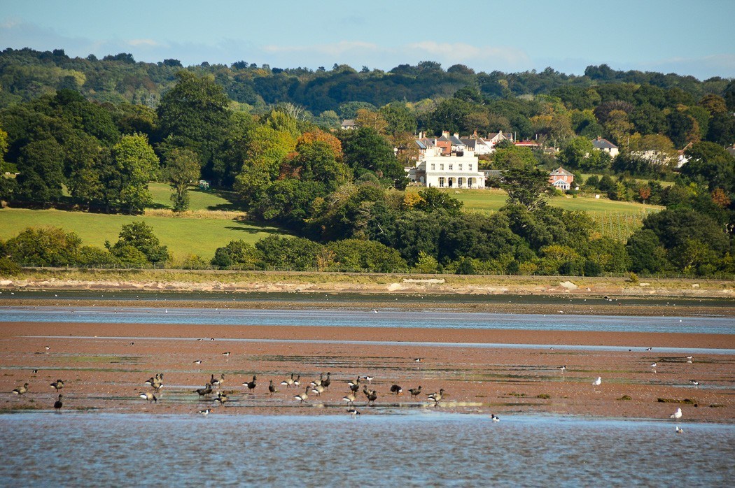 4 Best Things to do in Exmouth You Won't Want to Miss 10 lymptsone manor as seen from a river exe boat trip