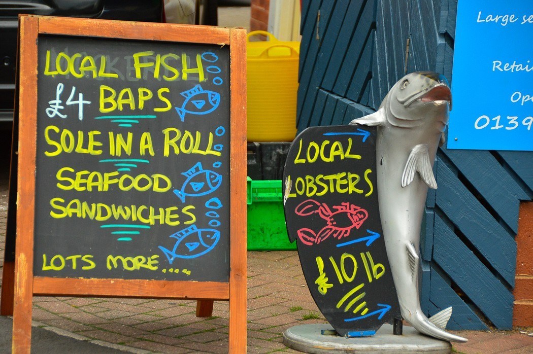 4 Best Things to do in Exmouth You Won't Want to Miss 13 blackboard and other signs for local fish in Exmouth