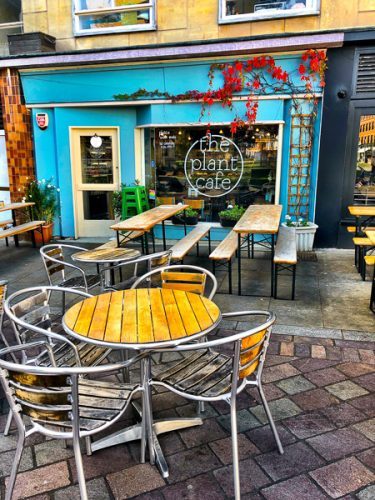 Plant Cafe Exeter