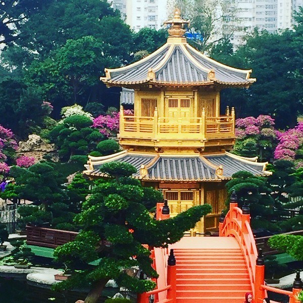 Hong Kong Travel Blog: Heading Off the Beaten Path 13 hong kong nan lian gardens goldem temple