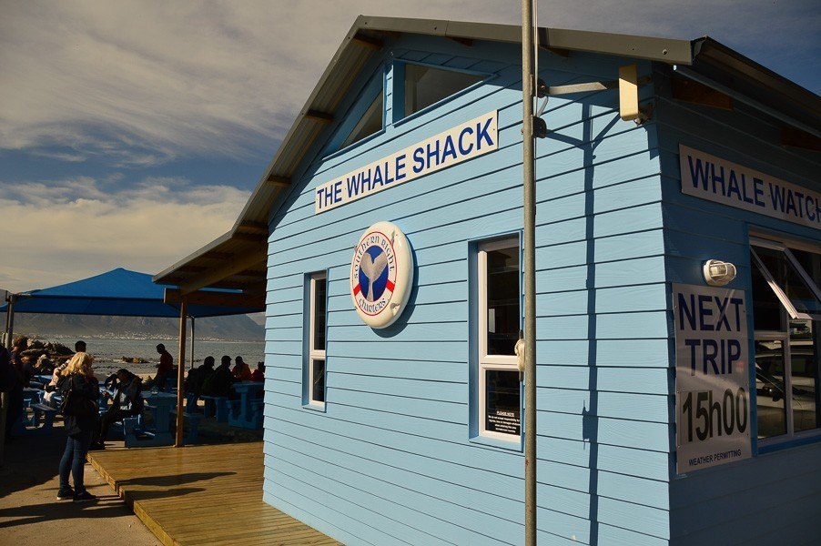 the whale shack building on the harbour