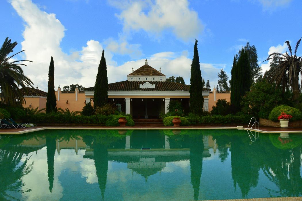 swimming pool with back building and cypress trees in pool reflection