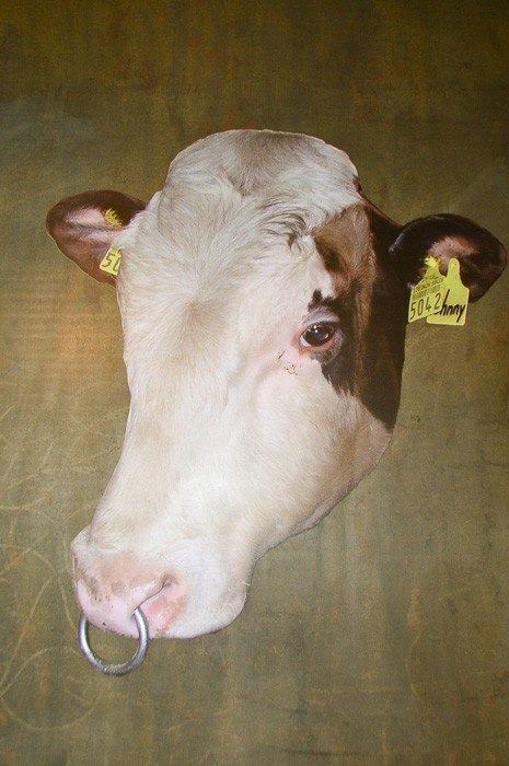 14 Best Things to Do in Tarn et Garonne 26 la cuisine art cow