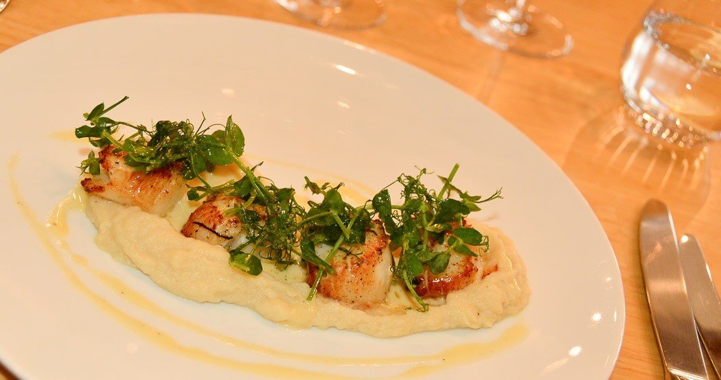 14 Best Things to Do in Tarn et Garonne 29 le moulin de varen scallops