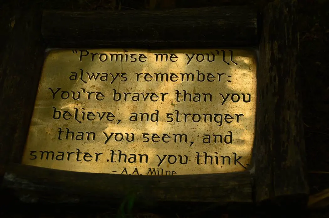 winnie the pooh quote engraved on a brass plate