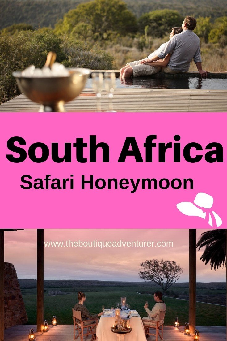 Thinking about a Safari Honeymoon? South Africa is a great option for many reasons - and it has the #1 Safari Experience in Africa! #southafrica #honeymoon #safarihoneymoon Click here for more
