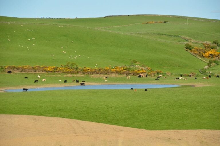 The Places you Can't Miss in Scotland!