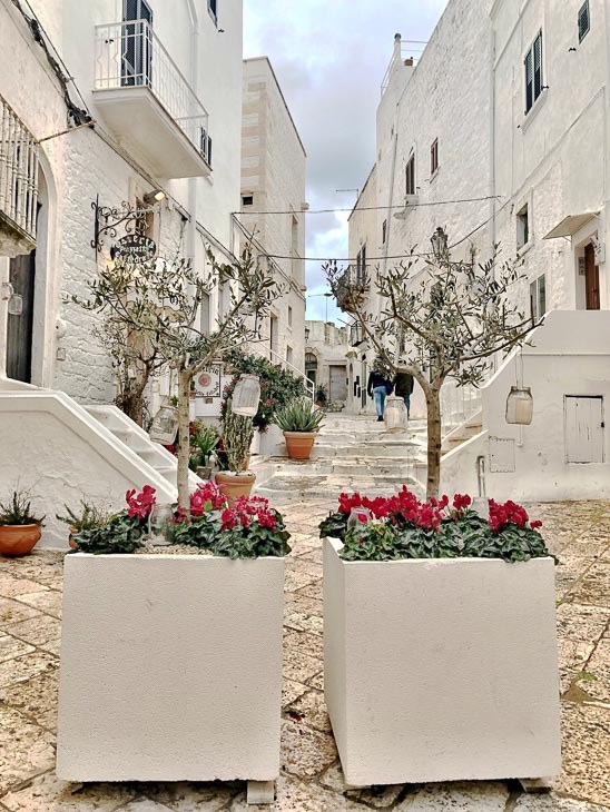 7 Best Places to Visit in Puglia (2022) 21 white houses and planters in Ostuni