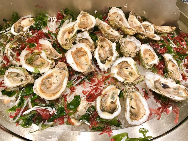 oysters on display at the Wynn buffet