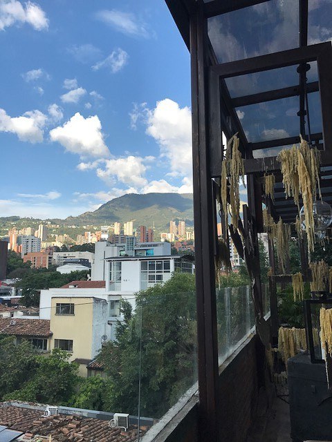 Perfect Colombia Itinerary 2 Weeks including the Rainbow River 15 what-to-do-in-colombia