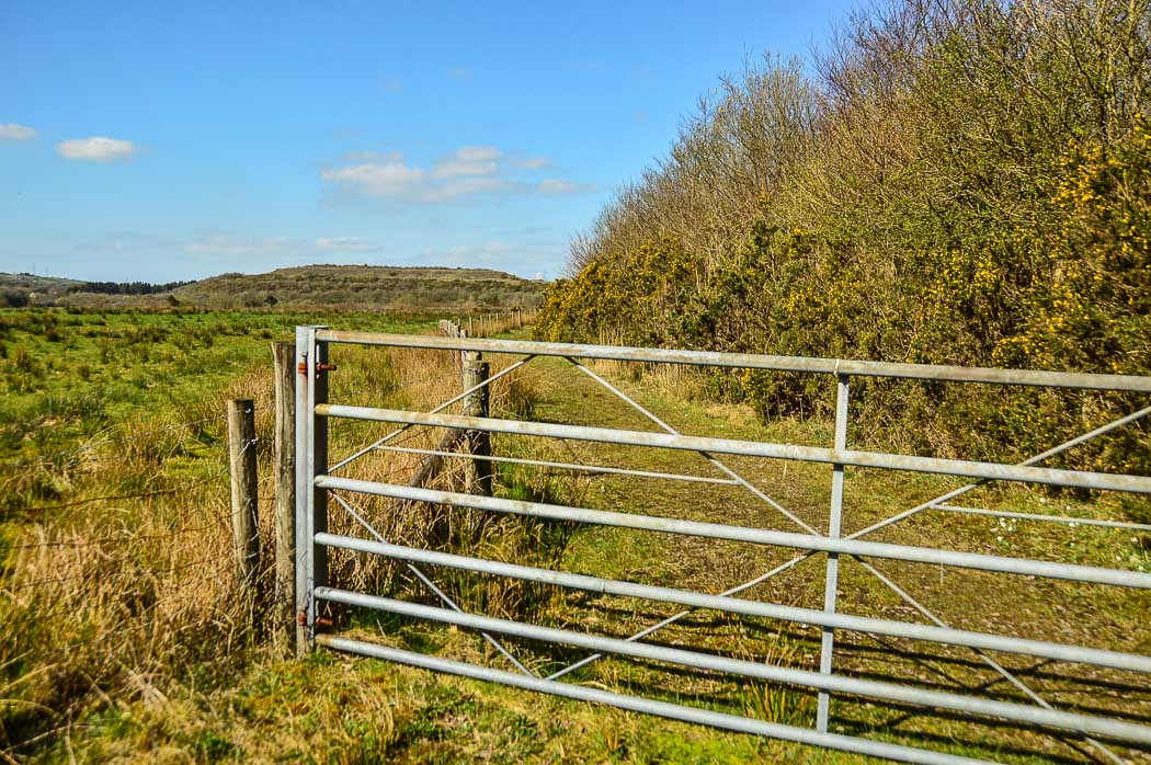 7 Best Places to Visit in South Wales - The Valleys (2022) 25 activities to do in south wales - the gate at Parc Slip Nature Reserve