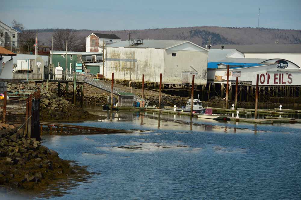 digby harbour