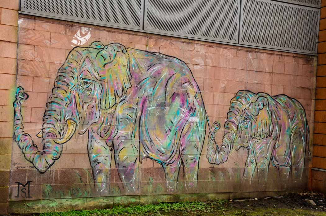 12 Fun Things to do in Cardiff (2022) 15 cardiff-street-art-elephants