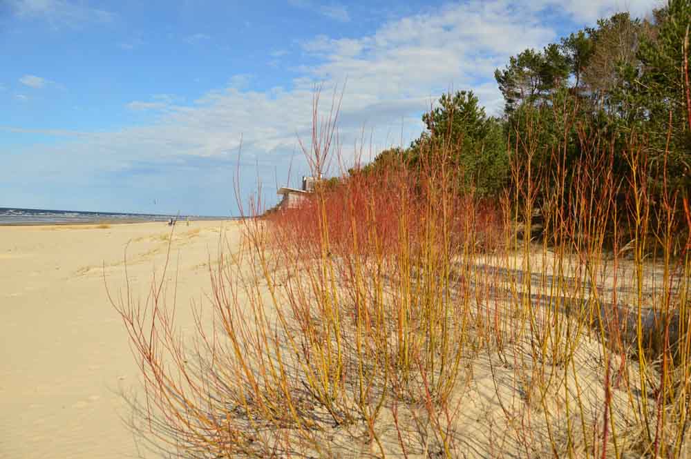 jurmala-beach
