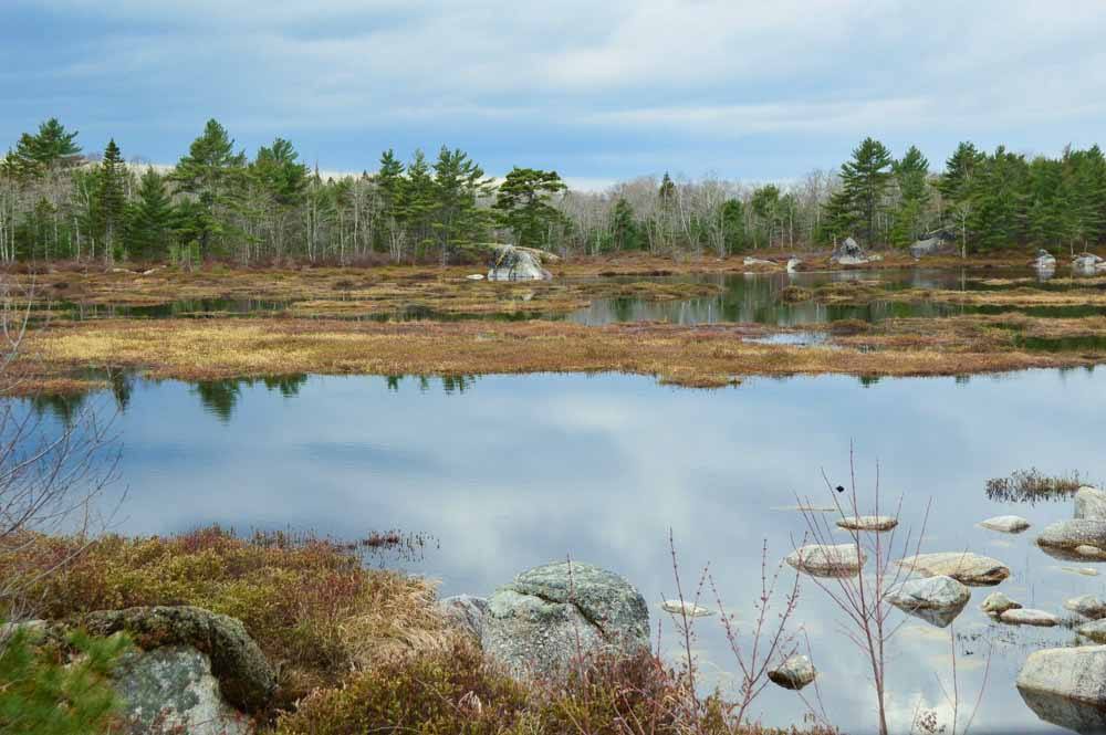 Best 6 Days Nova Scotia Itinerary 19 Kejimkujik Park
