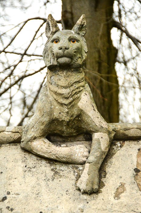 12 Fun Things to do in Cardiff (2022) 43 Cat on animal wall in cardiff