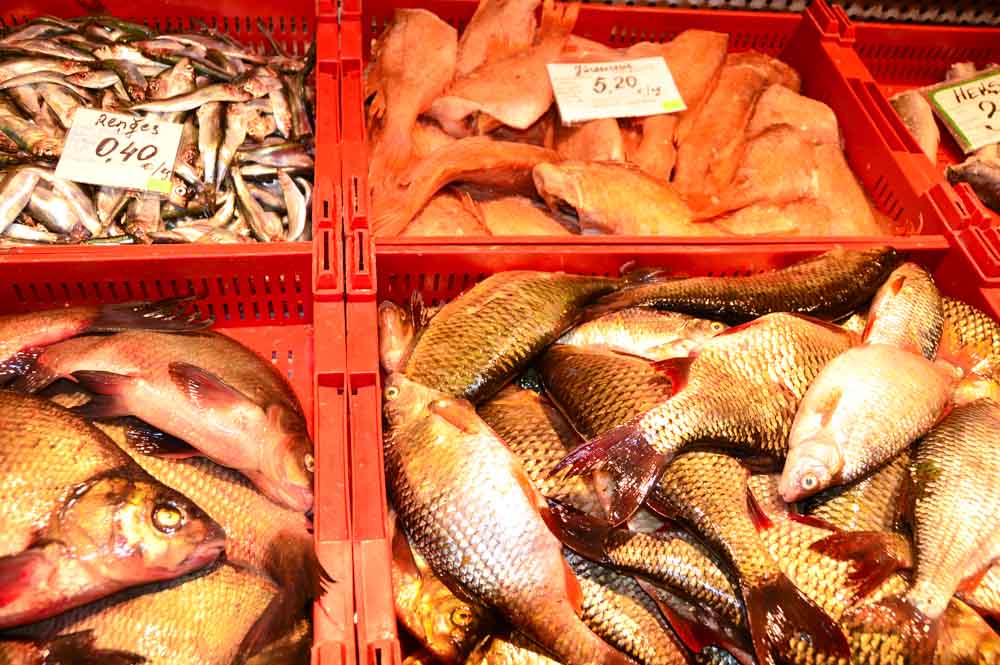Seafood at Riga Central Market