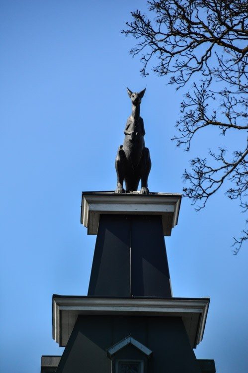 Kangaroo Sculpture in Riga