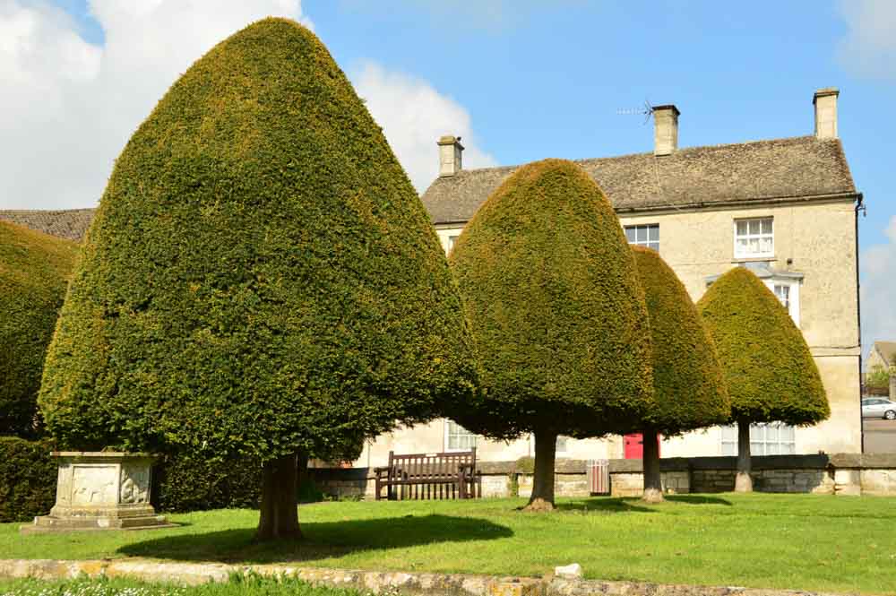 Where to Stay in the Cotswolds for Boutique Hotel Lovers 13 england_cotswolds_painswick-yew-trees