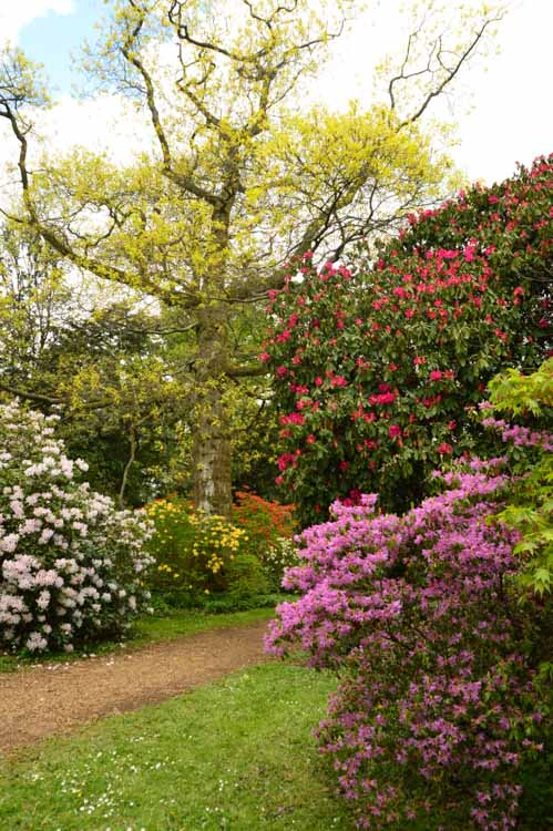 Where to Stay in the Cotswolds for Boutique Hotel Lovers 31 england_cotswolds_westonbirt-arboretum-in-bloom