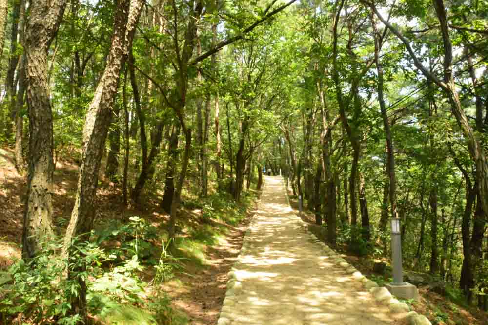 korea_daegu_apsan-moutain-path