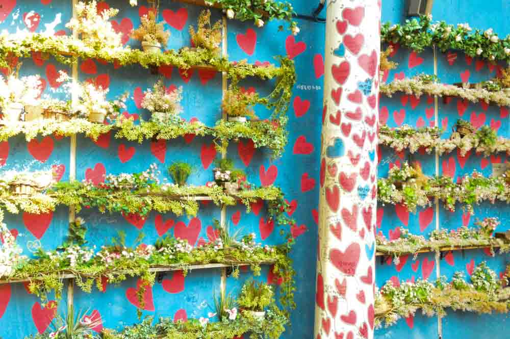 12 Best Things to do in Daegu Korea 17 korea_daegu_heart-wall-mural
