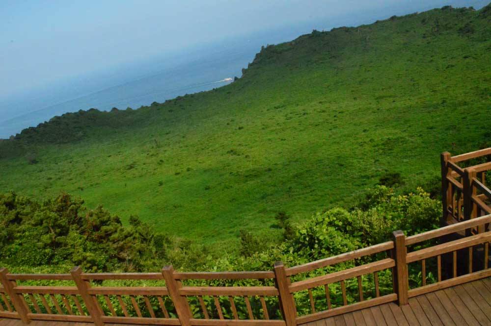 11 Best Things to do in Jeju Island - You Won't Want to Miss These 17 tourist spots in jeju island