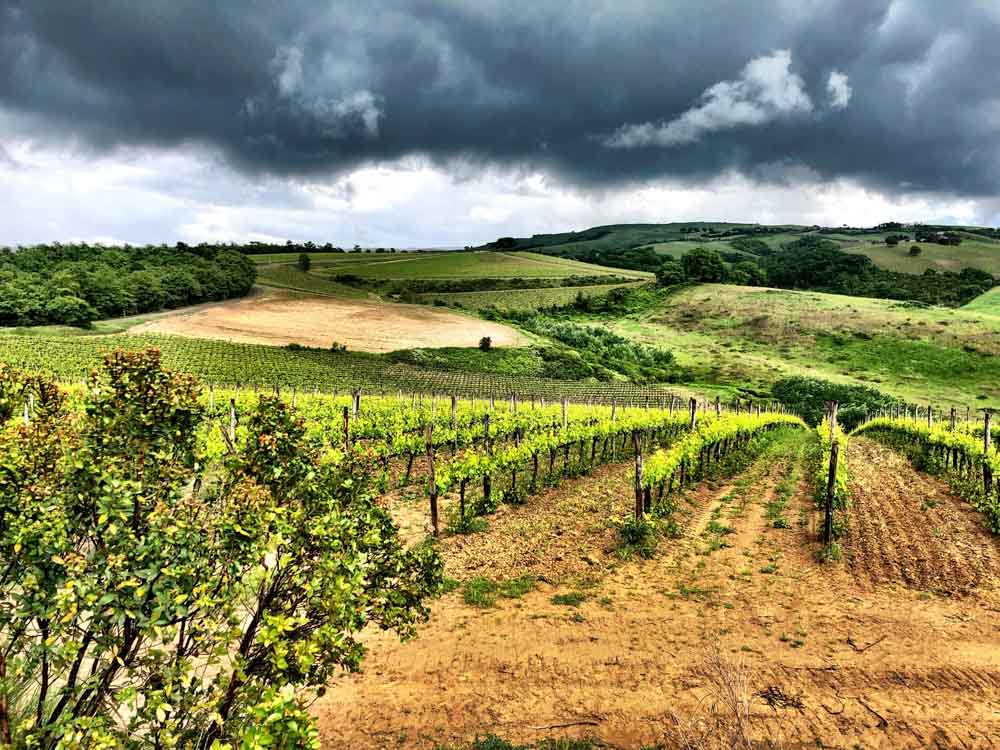 Italy_Montepulciano_wineries-in-montepulciano.jpg