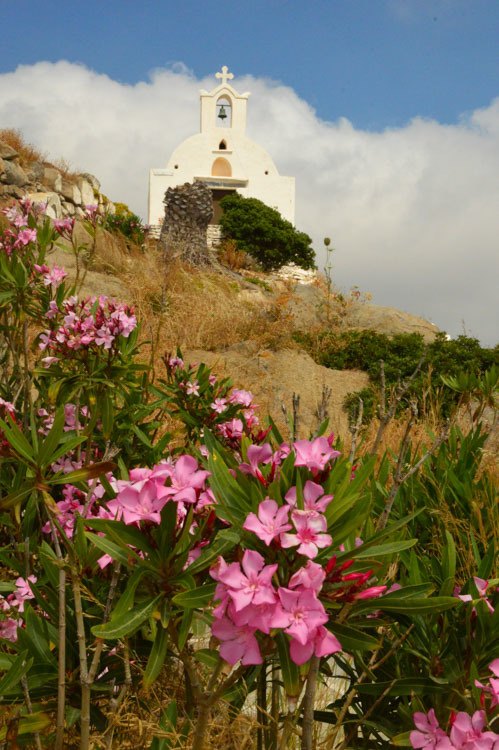 17 Best Things to do in Ios 7 greece_ios_hora_church-pink-flowers