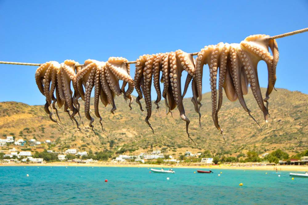 greece_ios_mylopotas-drakos-octopus-drying
