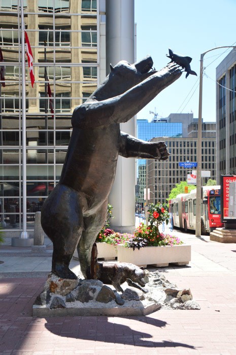 Canada_ottawa_sparks-st-bear