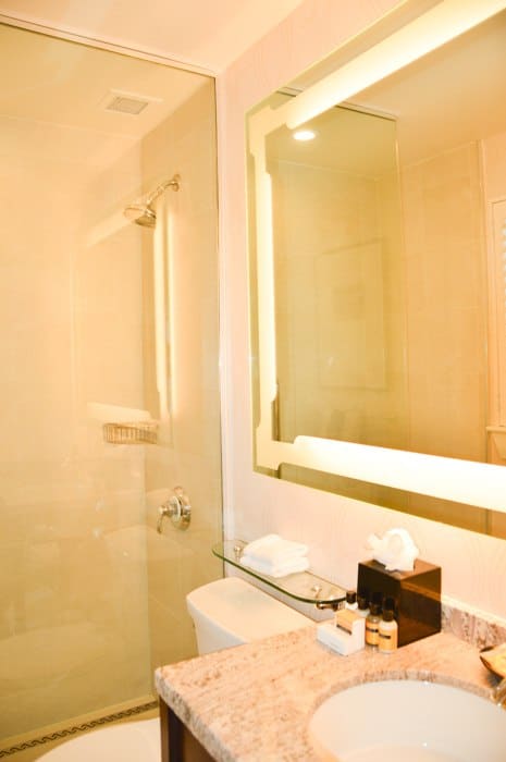 canada_new-brunswick_algonquin-bathroom