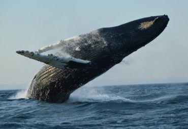 The Beauty of Nature - Travel Destinations where you can see Nature at its best
