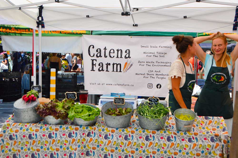 3 Best Ottawa Tours You Won't Want to Miss 15 canada_ottawa_farmers-market-stand-cantena-farm