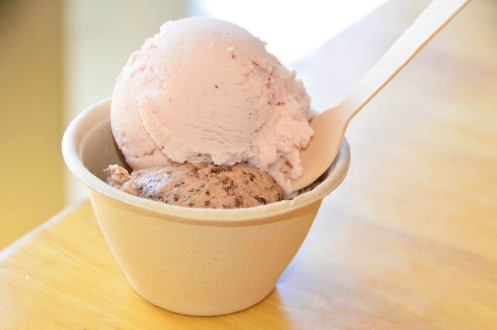canada_ottawa_ice-cream