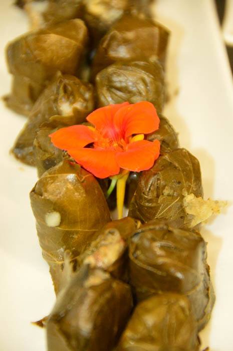greece_paxos_gaios-restaurant-carnayo-vine-leaves