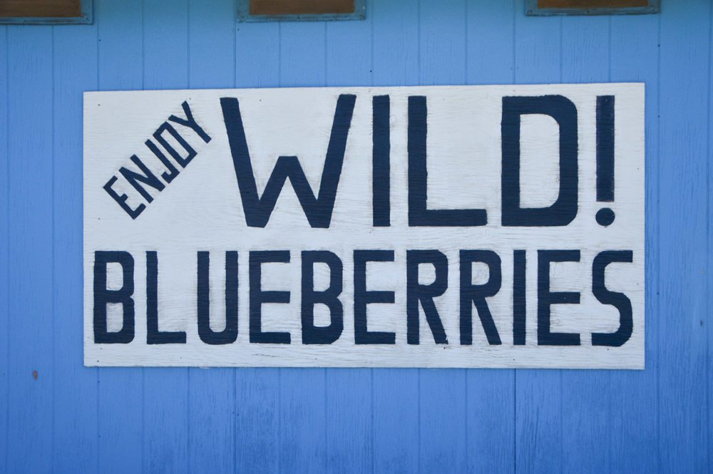 canada_new-brunswick_blueberries-sign