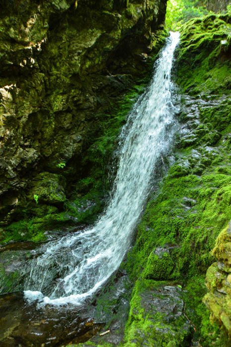 canada_new-brunswick_fundy-national-park-waterfal