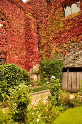 16 Best Things to do in Winchester & Nearby 10 england_winchester_great-hall-garden