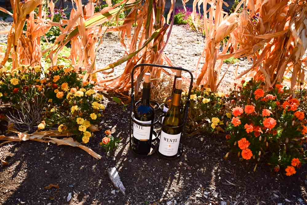 Best Spots for Livermore Wine Tasting (2022) - from Trolley to Winery to Bar 7 california_livermore_wente-vineyard-bottles-in-garden