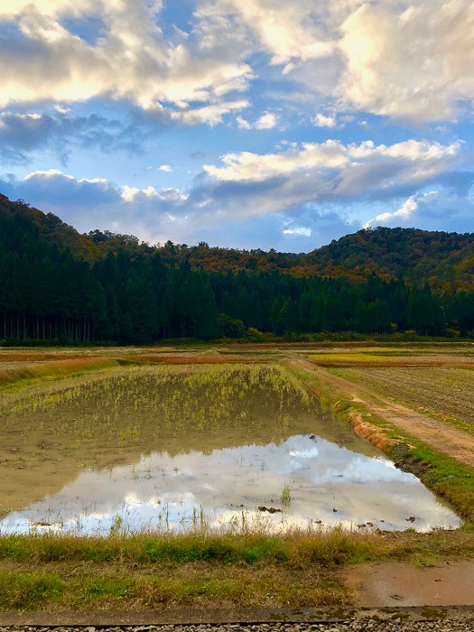 17 Best Things to do in Kanazawa You're Going to Love 69 japan_kaga_noguchi-sake-fields