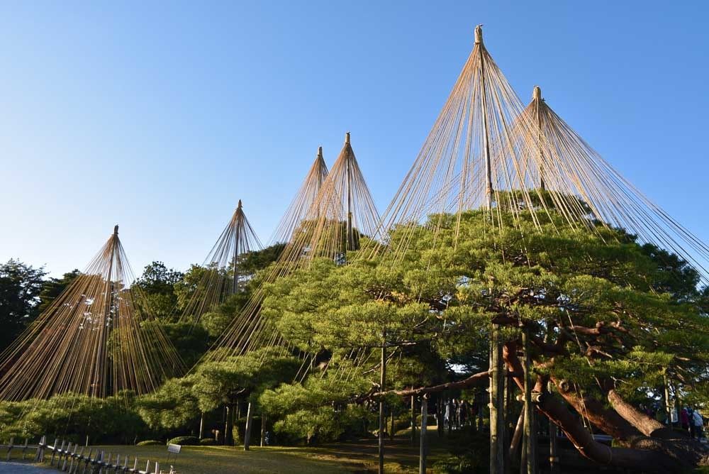 17 Best Things to do in Kanazawa You're Going to Love 17 japan_kanazawa_kenrouken-gardens-9
