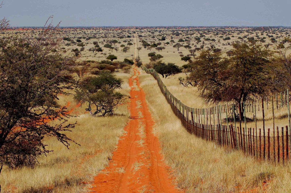 Self Drive Namibia (2022): 10 night Itinerary for Boutique Hotel Lovers 3 Namibia_kalahari_bagatelle-road