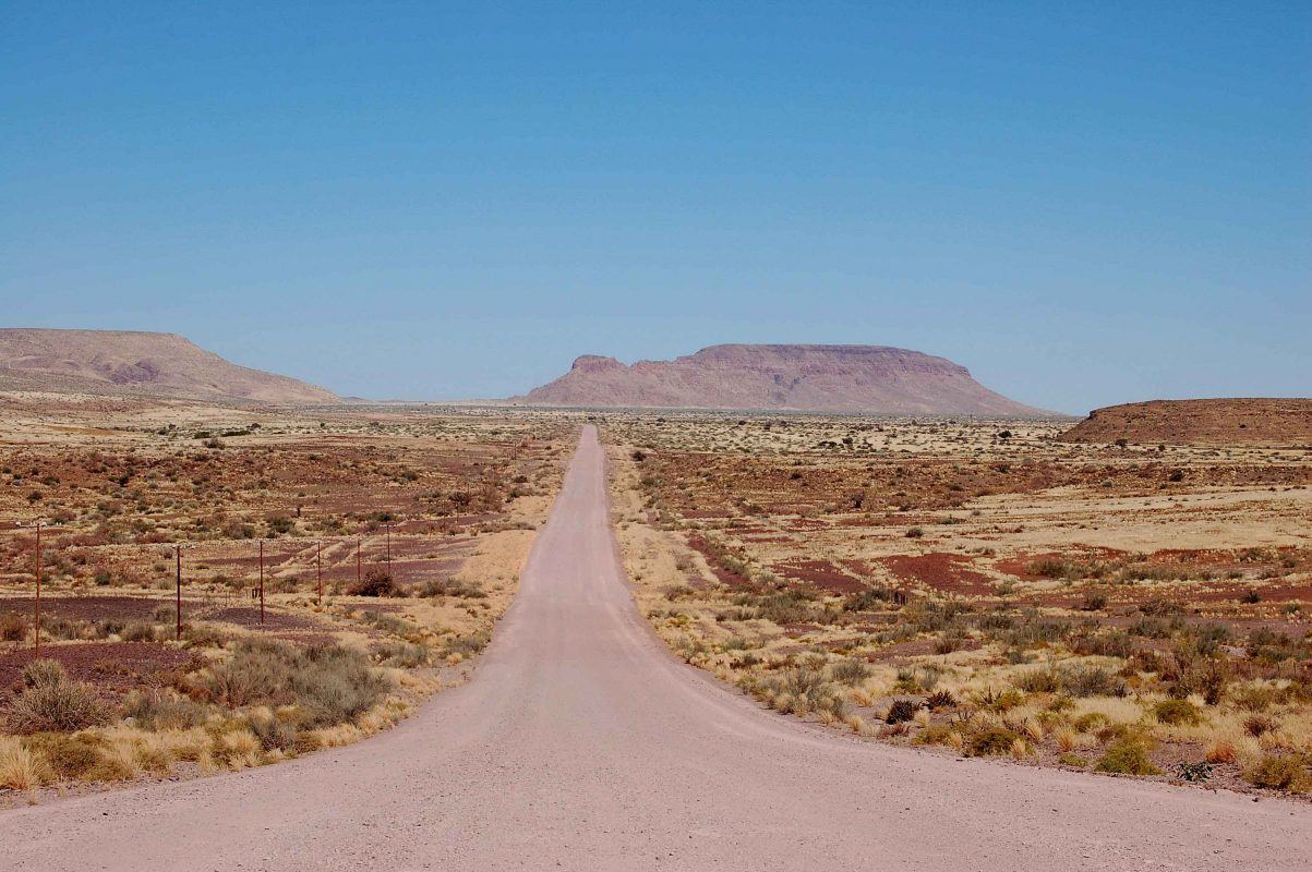 Road Trip With a Cat (2022) | 11 Tips for Car Travelling With Your Furry Feline 6 Namibia_road
