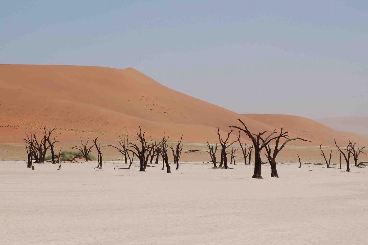 Namibia_sossusvlei-dead-vlei-with-dunes-2