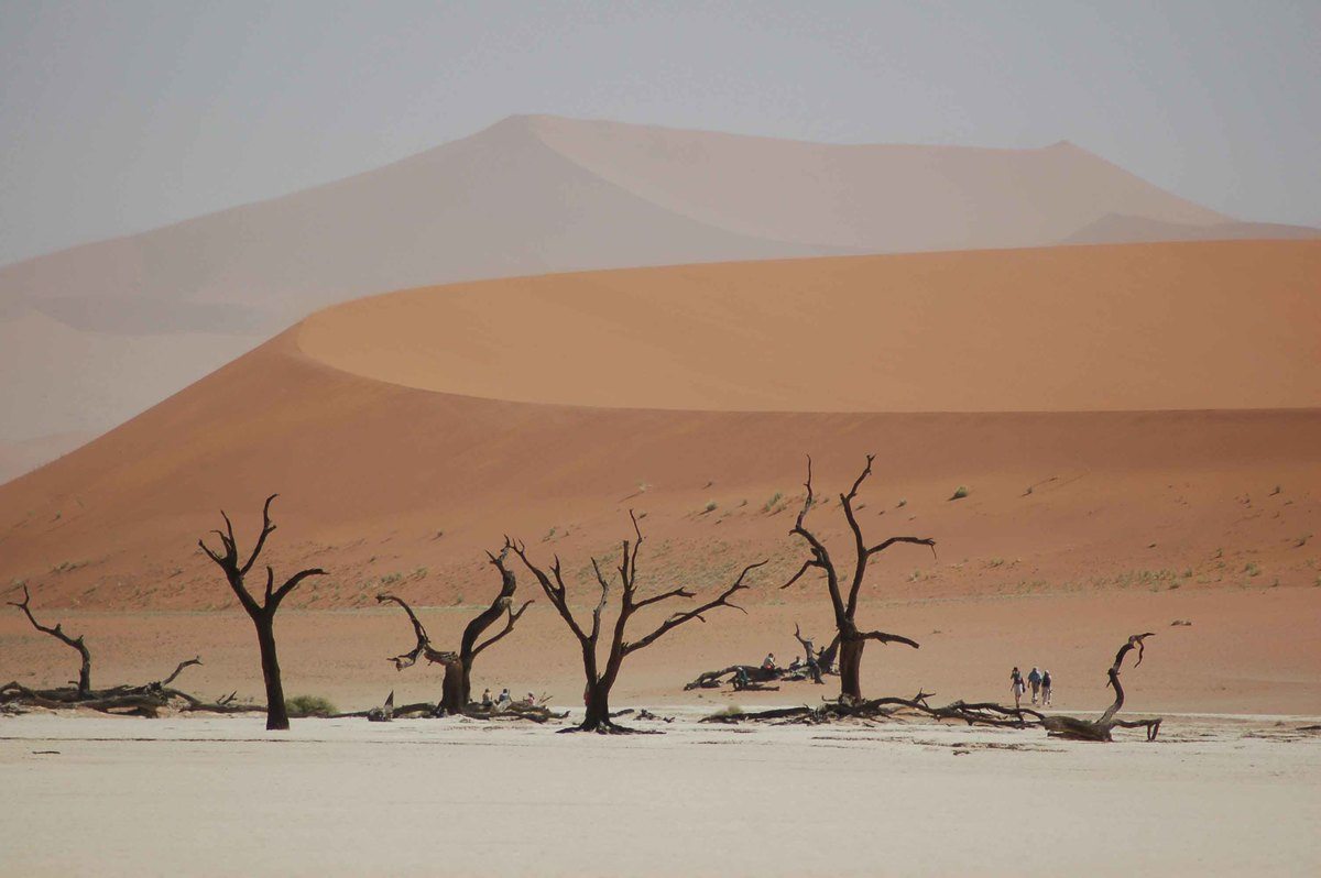 Namibia_sossusvlei-dead-vlei-with-dunes