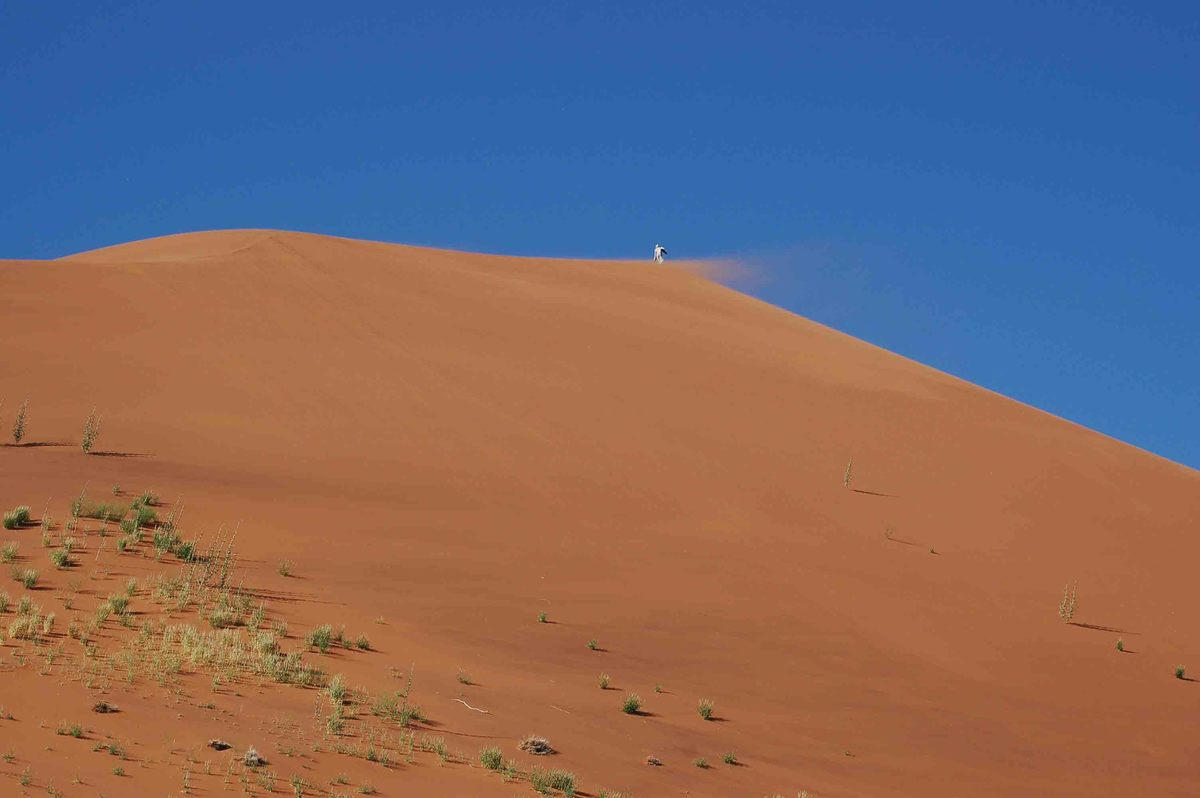 Self Drive Namibia (2022): 10 night Itinerary for Boutique Hotel Lovers 20 Namibia_sossusvlei-dune